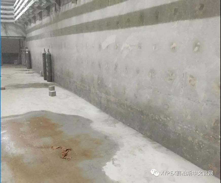 微信圖片_20180309221559.jpg